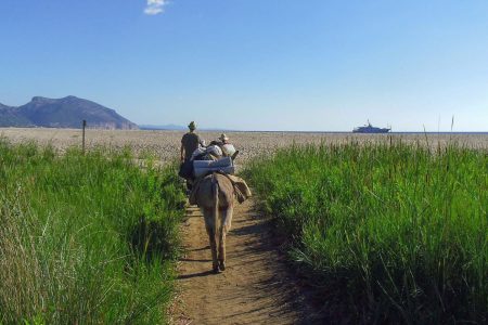 3-day coastal trekking in the Gulf of Orosei with donkeys