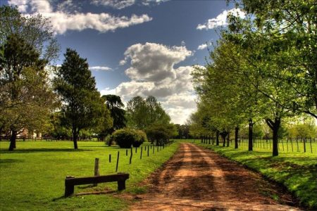 Visit the Village San Antonio de Areco and the Estancia