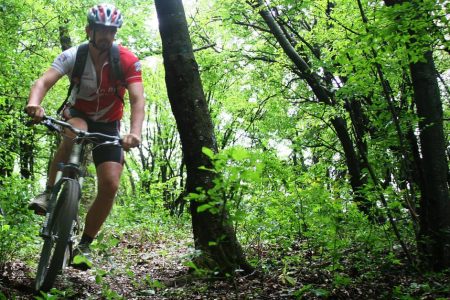 Private Mountain Biking in Vitosha from Sofia