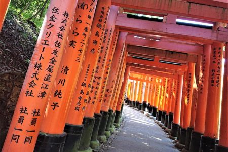 Kyoto Late Bird Walking Tour