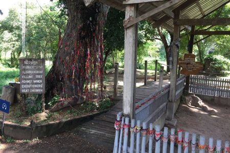 Private Half Day Trip to Genocidal Museum & Killing Field