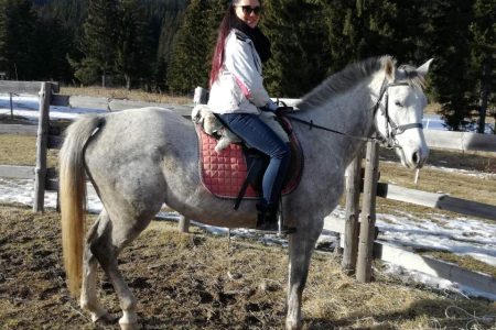 Private Horse Riding in Rhodope Mountains from Plovdiv