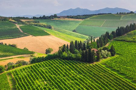 Romantic Wine Tour in Tuscany – Chianti Wine Tour and visit San Gimignano medieval town