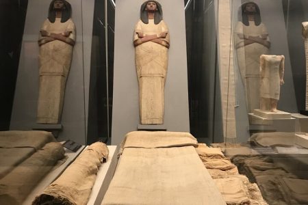 Skip the Line Access to National Museum of Egyptian Civilization