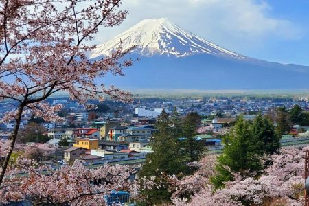 Guided 3 Days Tour Tokyo, Mt. Fuji and Hakone GREEN NUMBER PLATE