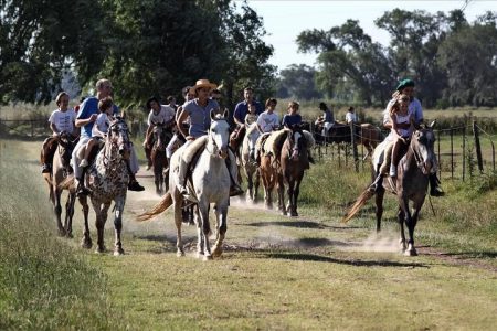 Buenos Aires Super Saver: City Tour, Gaucho Day at a Farm & Tango Dinner-Show