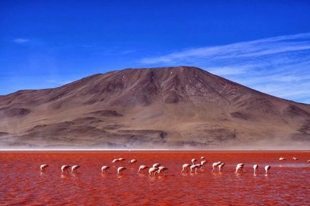 6-Days Discovering 2 of the World’s Largest Salt Flats, Atacama & Uyuni