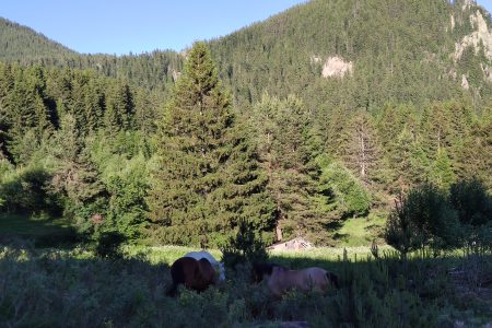 Horse Riding in the Heart of the Rhodope Mountains – Hvoyna