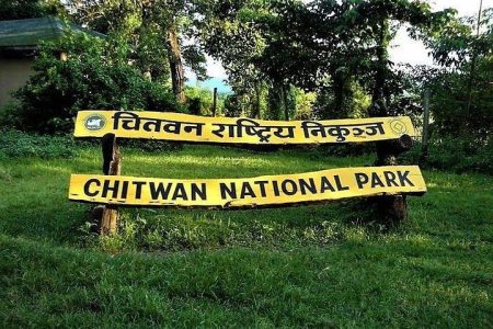 Jeep Safari in Chitwan National Park