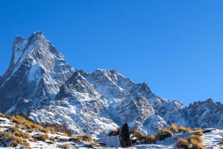 Mardi Himal Trek