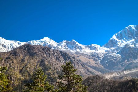 Manaslu Larke Pass Trek with Local Guide