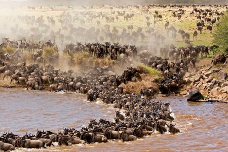 8-Days Wildebeest Migration Safari – Luxury Itinerary Starts & Ends in Arusha