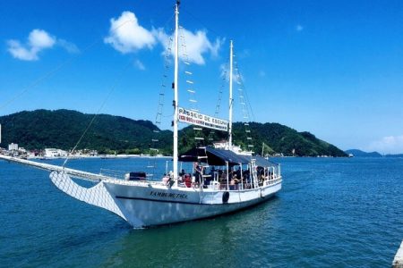 Full-Day Private Tour of Santos with Boat Tour and Viewpoints – Tickets Included