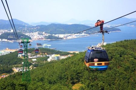 5 Day Private from Busan to Seoul,Gyeongju,Tongyeong, Boseong Green Tea Field