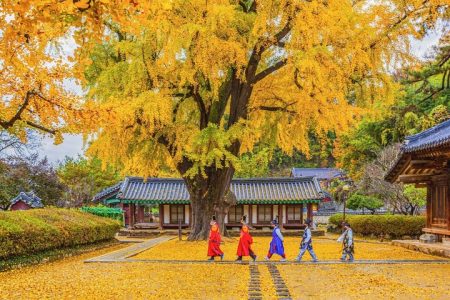 Private Jeonju Hanok Village – Culinary tour