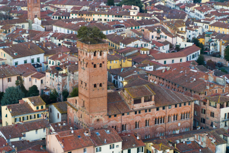 Lucca Private Half-Day Tour from Florence