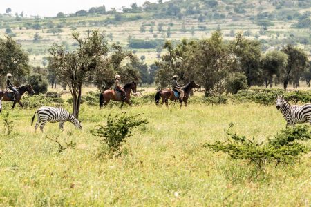 HORSE BACKRIDING SAFARI IN MAASAI MARA