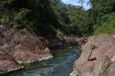 Yungas and El Rey National Park 4×4 Full Day Tour from Salta