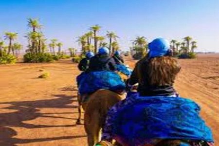 Camel Ride in Marrakech Including Moroccan Tea