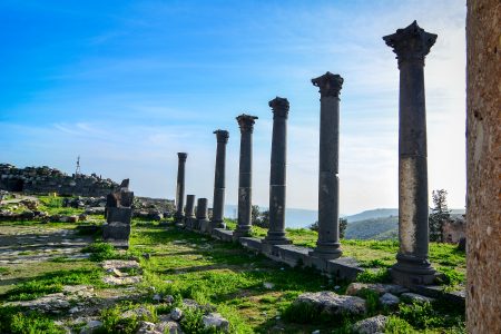 Private Full Day Tour to Umm Qais and Ajloun from Dead Sea