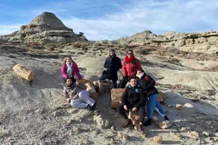La Leona Petrified Forest Hiking Tour from El Calafate