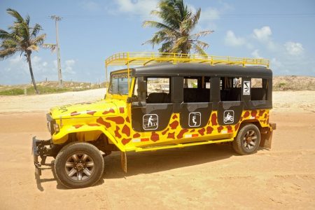 Kite Jeep Tour with Tree Canopy