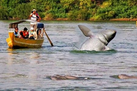 Discover Cambodia 8 Days From Siem Reap to Koh Trong – Phnom Penh Tour
