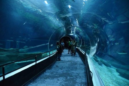 Aquario With Olympic Boulevard Rio de Janeiro