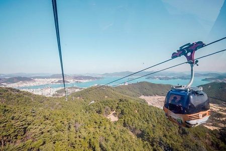 7 Day Private tour from Busan to Seoul, Suncheon Bay Wetland, Hongdo Island