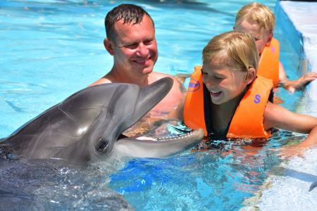 Dolphin Show & Swimming in Hurghada