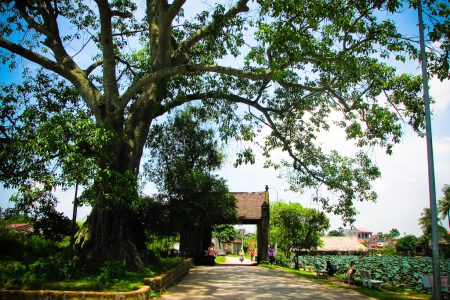 Full-Day Hanoi Jeep Tour Explore Duong Lam Ancient Village