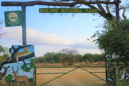 3 DAYS 2 NIGHTS MIKUMI SAFARI