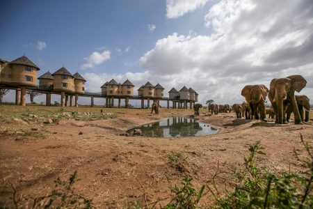 2-Day Taita Hills Safari – From Mombasa