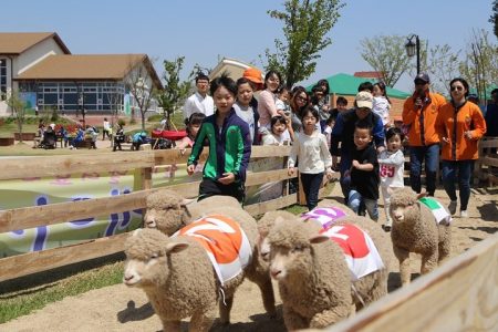 Private Full day Tour Anseong Farm Land with Gwangmyeong Cave