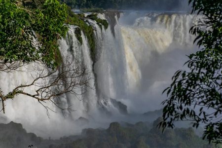 Iguassu Falls Brazilian Side & Bird Park & Macuco – Exclusive Gran Meliá Iguazú
