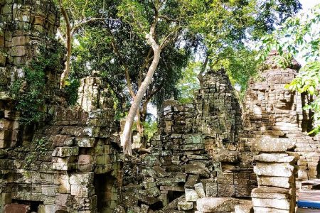 Banteay Chhmar Temple & Silk Farm Private Day Trip from Siem Reap