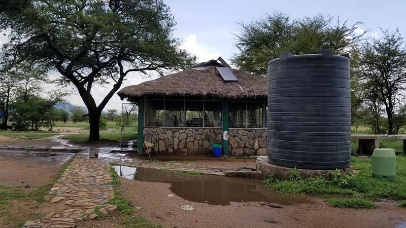 Day 8 : Serengeti Full Game Drive
