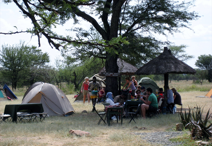 Day 2: Serengeti national park.