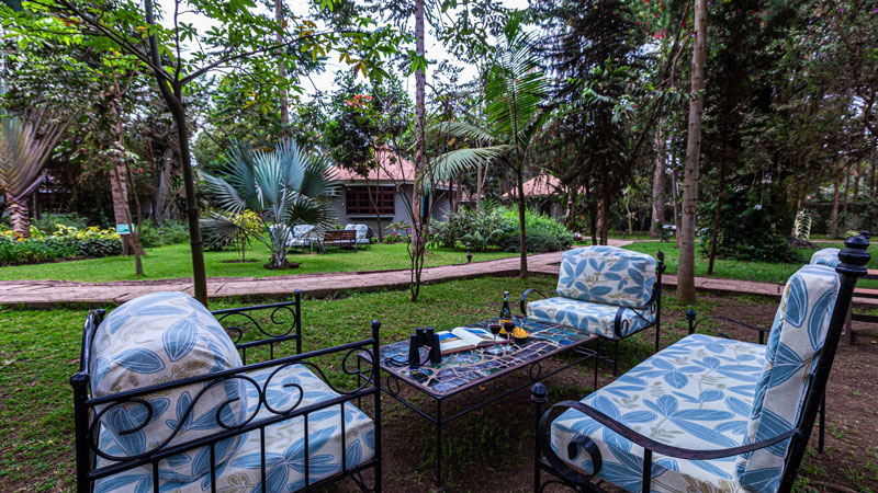 Day 1: Arrival in Arusha.