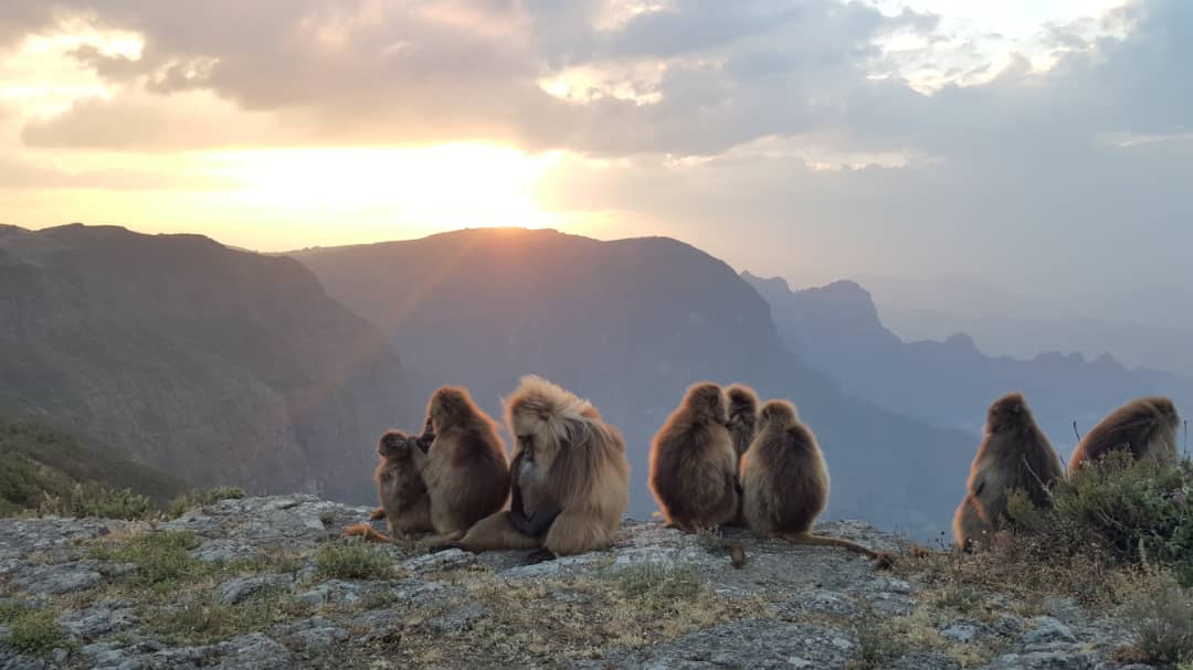 Day 6: Simien Mountains National Park