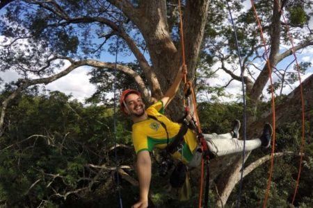 Tree Climbing Tour