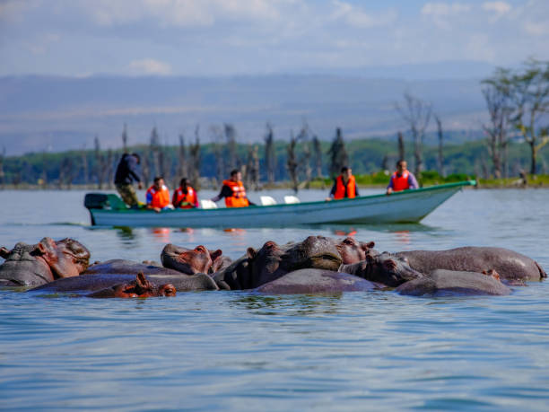Day 3 : MASAI MARA GAME RESERVE – LAKE NAIVASHA