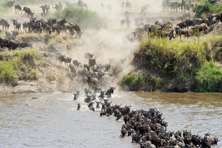 10 Days Kenya & Tanzania Safari