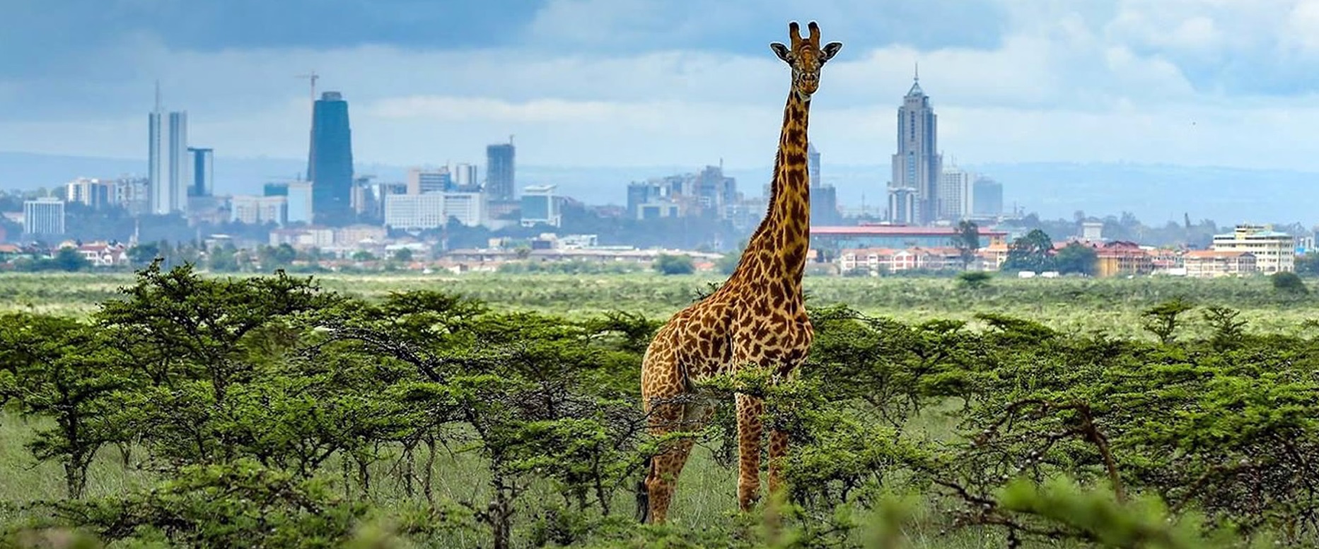 Day 1 : Arrival in Nairobi