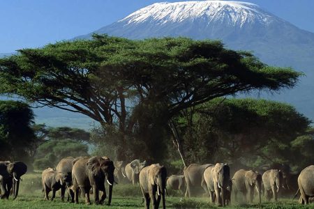 3 Days Amboseli Safari