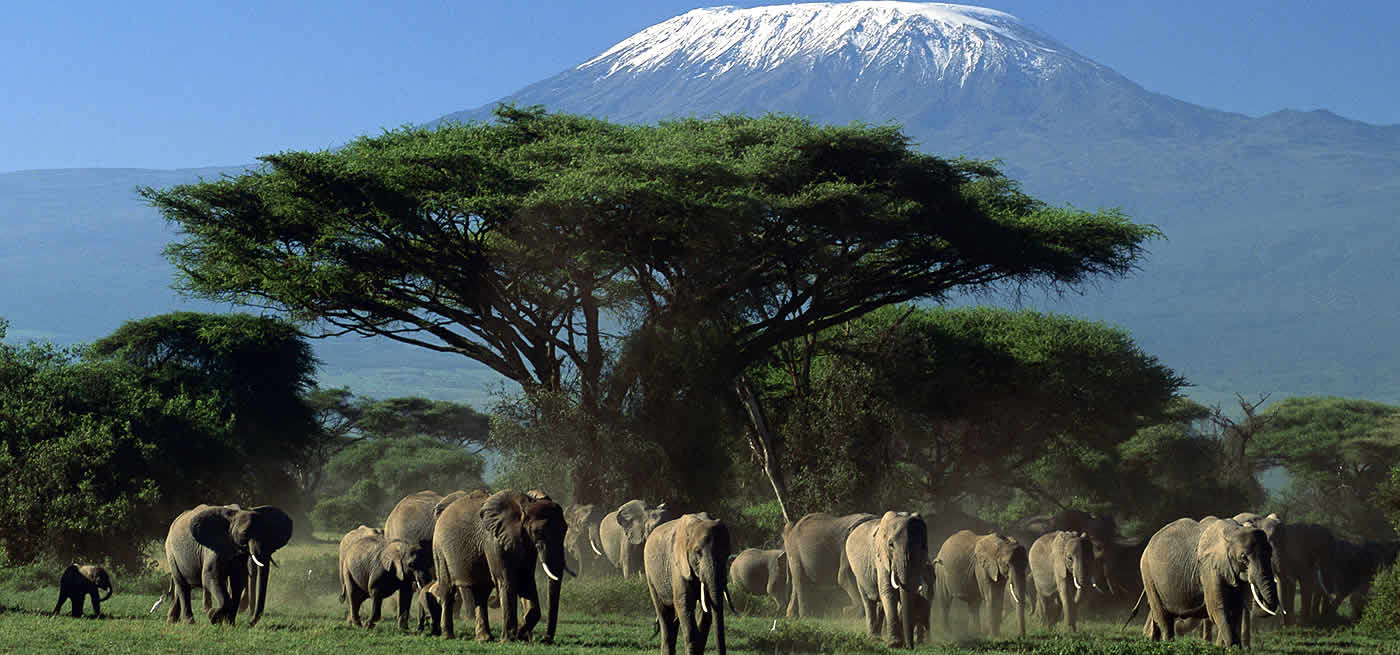 Day 3: Amboseli National Park - Nairobi