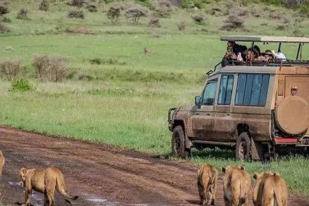 The Heart of Kenya: 5 Day Masai Mara & the Lakes Adventure