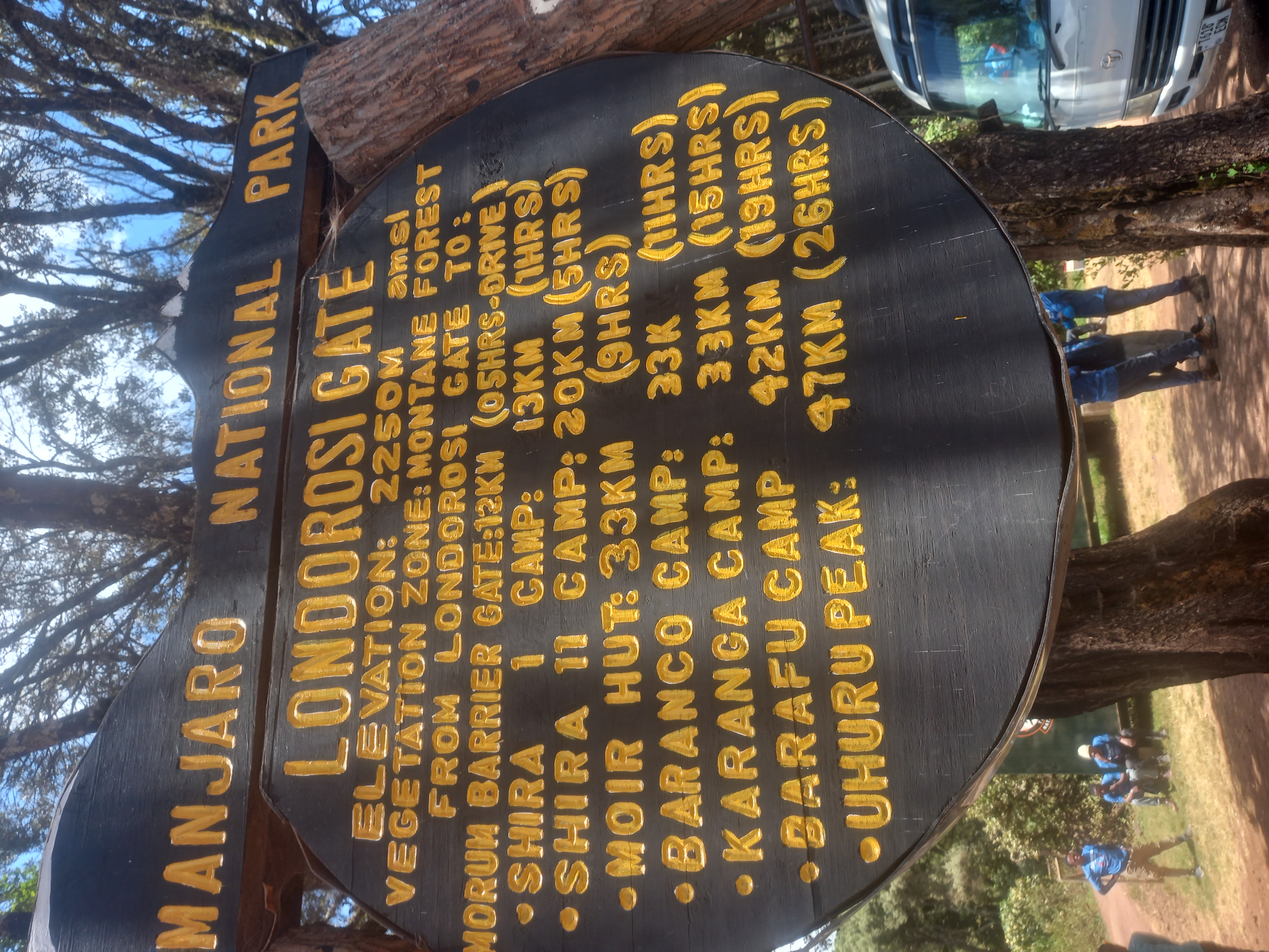 Day 1:Moshi to Londorossi Gate- Mti Mkubwa