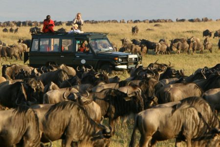 7 Days Kenya Group Safari: Masai Mara, Lake Nakuru, Lake Naivasha & Amboseli